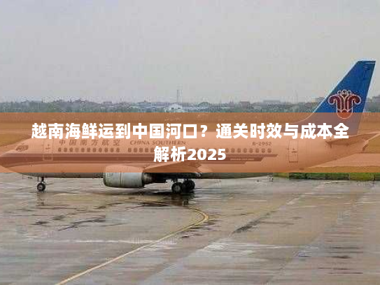 越南海鲜运到中国河口？通关时效与成本全解析2025