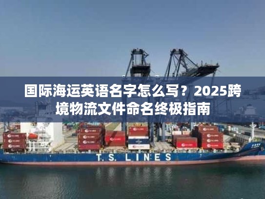 国际海运英语名字怎么写？2025跨境物流文件命名终极指南