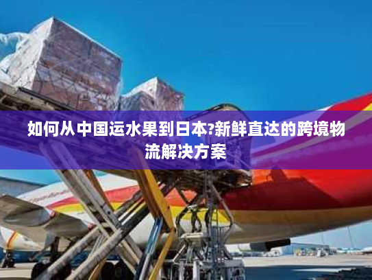 如何从中国运水果到日本?新鲜直达的跨境物流解决方案