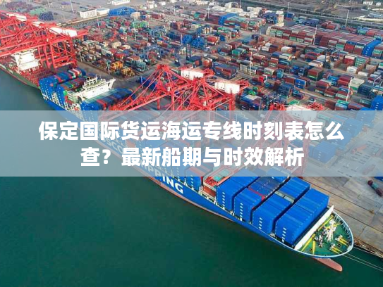 保定国际货运海运专线时刻表怎么查？最新船期与时效解析