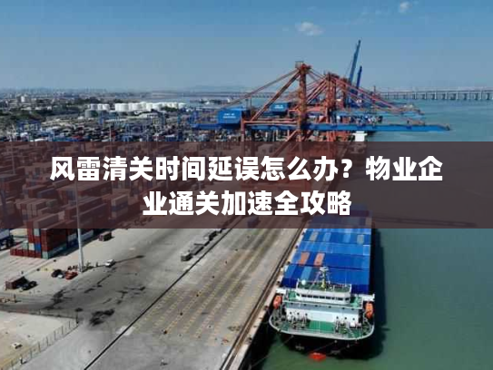 风雷清关时间延误怎么办？物业企业通关加速全攻略