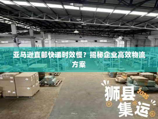 亚马逊直邮快递时效慢？揭秘企业高效物流方案