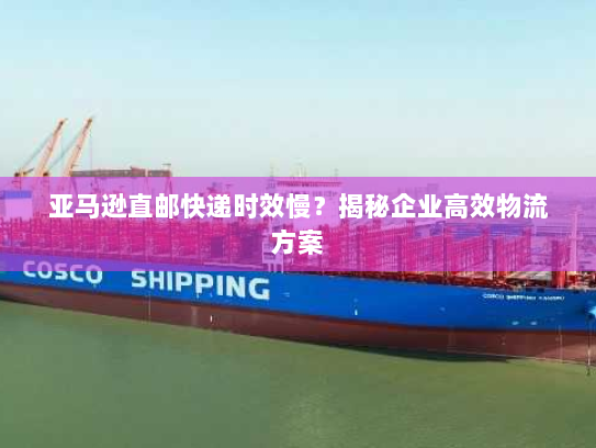 亚马逊直邮快递时效慢？揭秘企业高效物流方案