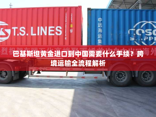 巴基斯坦黄金进口到中国需要什么手续？跨境运输全流程解析