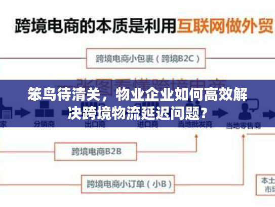 笨鸟待清关，物业企业如何高效解决跨境物流延迟问题？