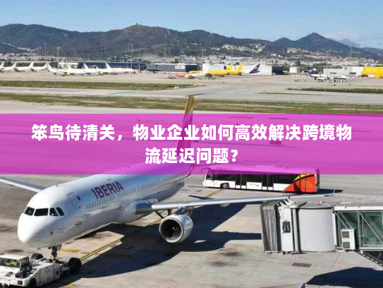 笨鸟待清关，物业企业如何高效解决跨境物流延迟问题？