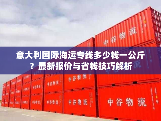 意大利国际海运专线多少钱一公斤？最新报价与省钱技巧解析