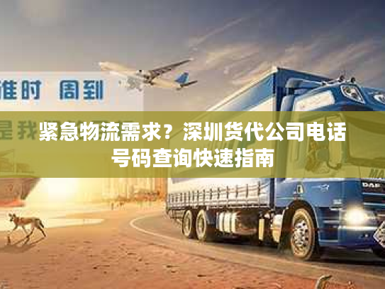 紧急物流需求？深圳货代公司电话号码查询快速指南