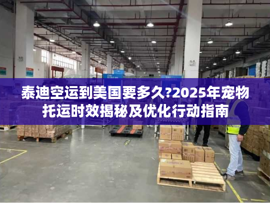 泰迪空运到美国要多久?2025年宠物托运时效揭秘及优化行动指南