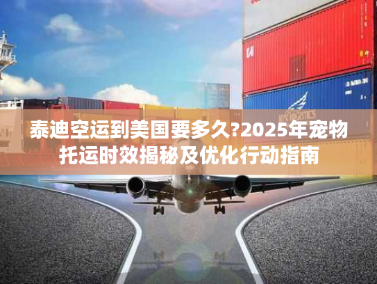 泰迪空运到美国要多久?2025年宠物托运时效揭秘及优化行动指南