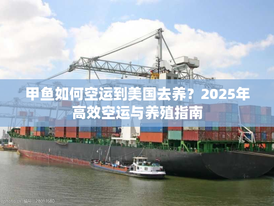 甲鱼如何空运到美国去养？2025年高效空运与养殖指南
