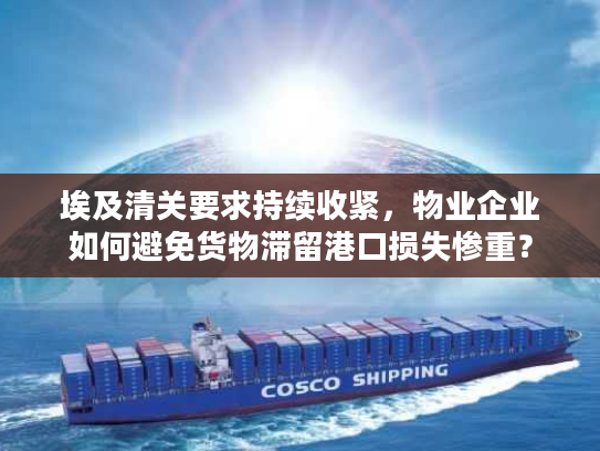 埃及清关要求持续收紧，物业企业如何避免货物滞留港口损失惨重？