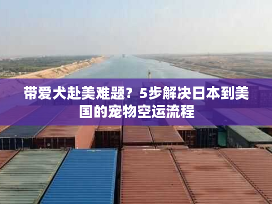 带爱犬赴美难题？5步解决日本到美国的宠物空运流程