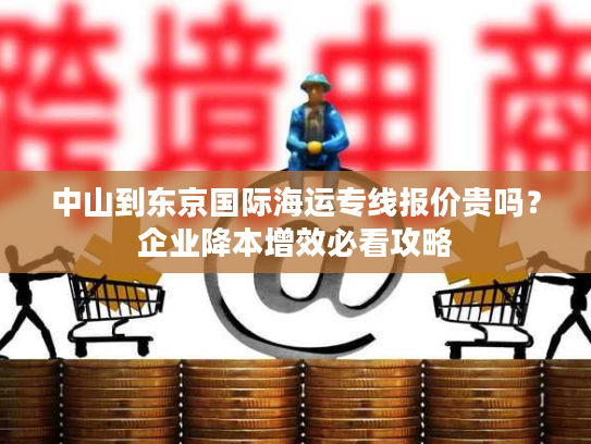 中山到东京国际海运专线报价贵吗？企业降本增效必看攻略