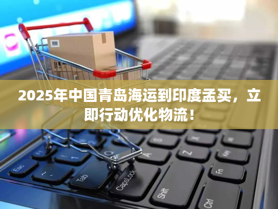 2025年中国青岛海运到印度孟买,立即行动优化物流! 2025年中国青岛海运到印度孟买,立即行动优化物流!