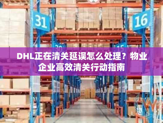 DHL正在清关延误怎么处理？物业企业高效清关行动指南
