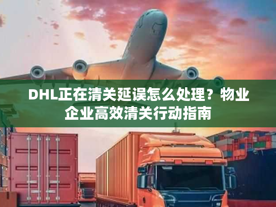 DHL正在清关延误怎么处理？物业企业高效清关行动指南