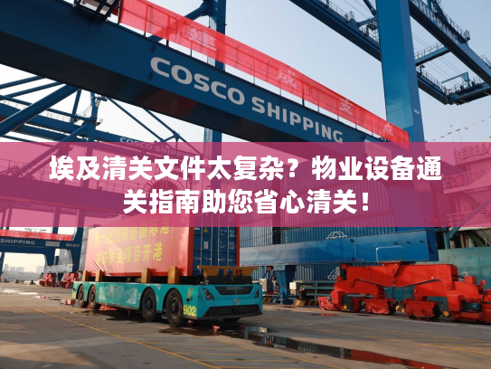 埃及清关文件太复杂?物业设备通关指南助您省心清关! 埃及清关文件太复杂?物业设备通关指南助您省心清关!