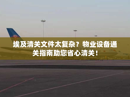 埃及清关文件太复杂?物业设备通关指南助您省心清关! 埃及清关文件太复杂?物业设备通关指南助您省心清关!