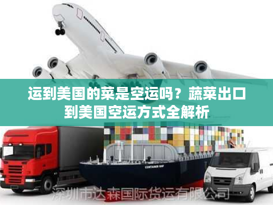 运到美国的菜是空运吗？蔬菜出口到美国空运方式全解析