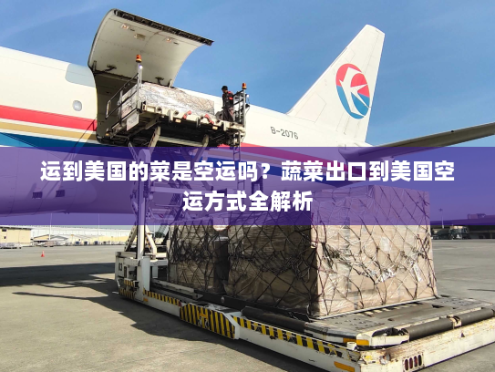运到美国的菜是空运吗？蔬菜出口到美国空运方式全解析