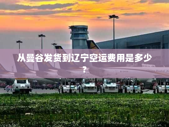 从曼谷发货到辽宁空运费用是多少?