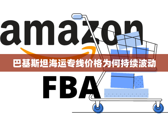 巴基斯坦海运专线价格为何持续波动 巴基斯坦海运专线价格为何持续波动