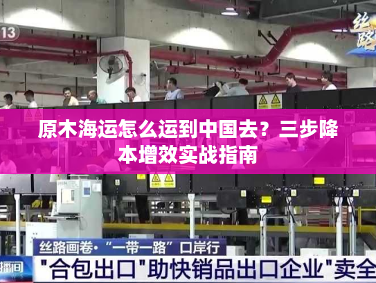原木海运怎么运到中国去?三步降本增效实战指南 原木海运怎么运到中国去?三步降本增效实战指南