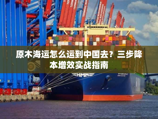 原木海运怎么运到中国去?三步降本增效实战指南 原木海运怎么运到中国去?三步降本增效实战指南