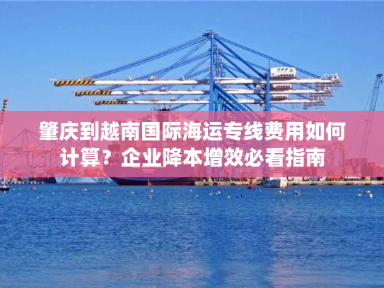 肇庆到越南国际海运专线费用如何计算？企业降本增效必看指南