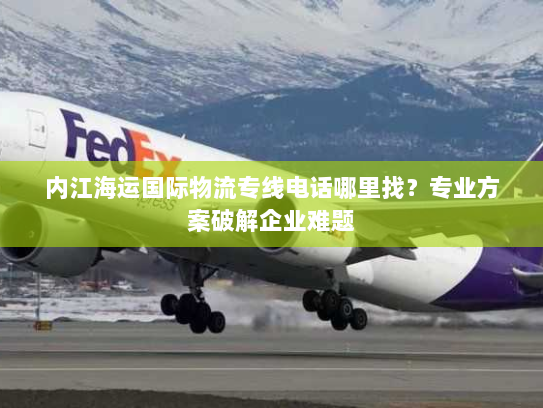 内江海运国际物流专线电话哪里找？专业方案破解企业难题