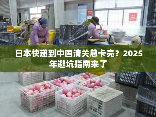 日本快递到中国清关总卡壳？2025年避坑指南来了