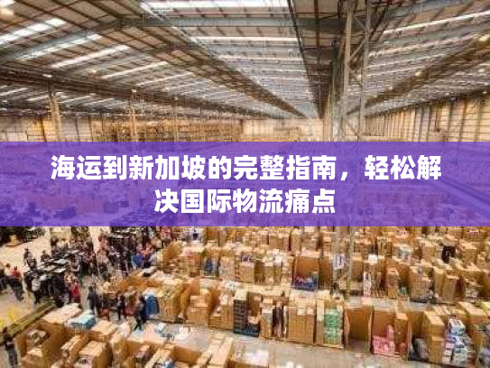 海运到新加坡的完整指南，轻松解决国际物流痛点