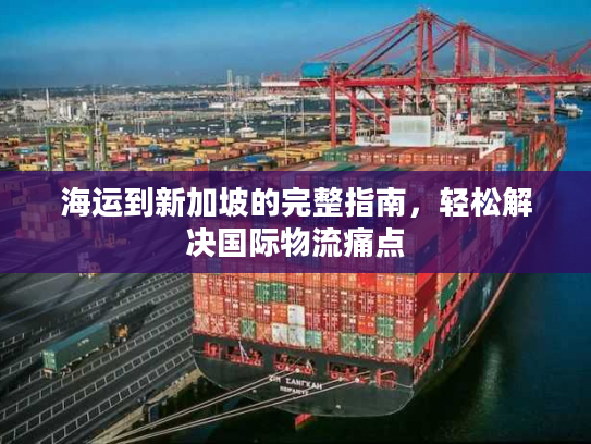 海运到新加坡的完整指南，轻松解决国际物流痛点