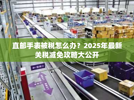 直邮手表被税怎么办？2025年最新关税减免攻略大公开