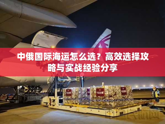 中俄国际海运怎么选？高效选择攻略与实战经验分享
