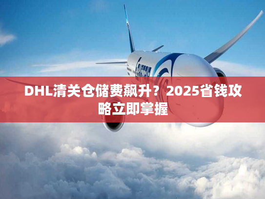 DHL清关仓储费飙升？2025省钱攻略立即掌握