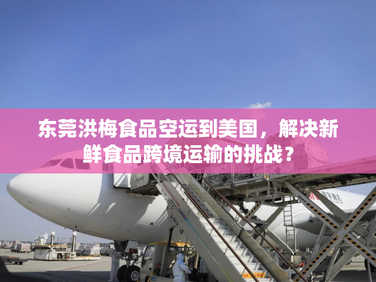 东莞洪梅食品空运到美国，解决新鲜食品跨境运输的挑战？