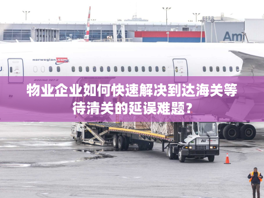 物业企业如何快速解决到达海关等待清关的延误难题？