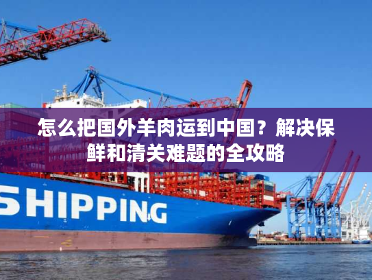 怎么把国外羊肉运到中国？解决保鲜和清关难题的全攻略