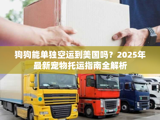 狗狗能单独空运到美国吗？2025年最新宠物托运指南全解析