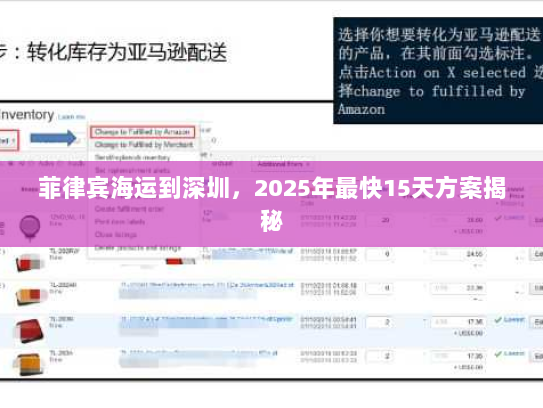 菲律宾海运到深圳，2025年最快15天方案揭秘