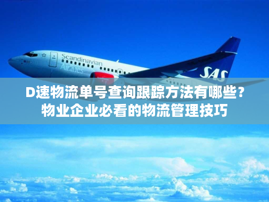 D速物流单号查询跟踪方法有哪些？物业企业必看的物流管理技巧