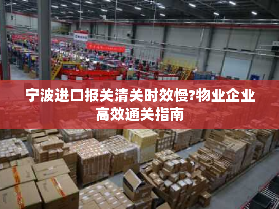 宁波进口报关清关时效慢?物业企业高效通关指南