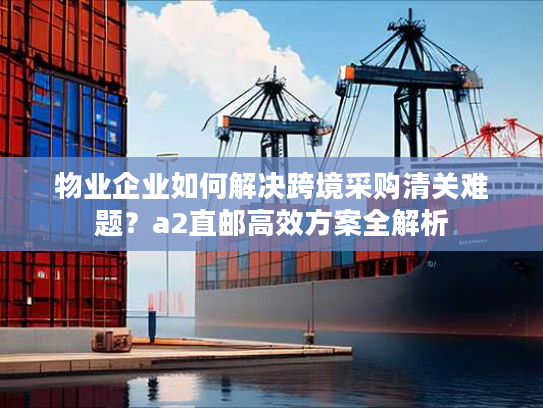 物业企业如何解决跨境采购清关难题？a2直邮高效方案全解析