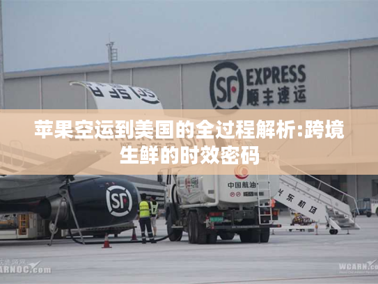 苹果空运到美国的全过程解析:跨境生鲜的时效密码 苹果空运到美国的全过程解析:跨境生鲜的时效密码