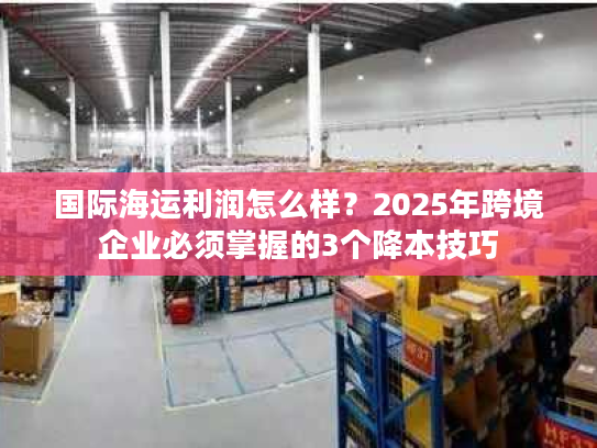 国际海运利润怎么样？2025年跨境企业必须掌握的3个降本技巧