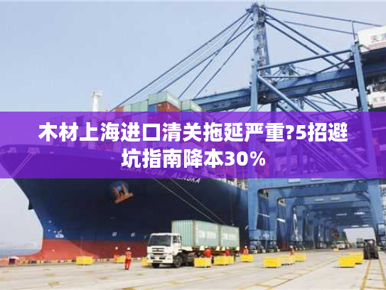 木材上海进口清关拖延严重?5招避坑指南降本30%