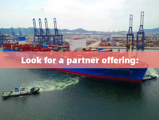 Look for a partner offering: