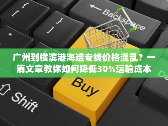 广州到横滨港海运专线价格混乱？一篇文章教你如何降低30%运输成本